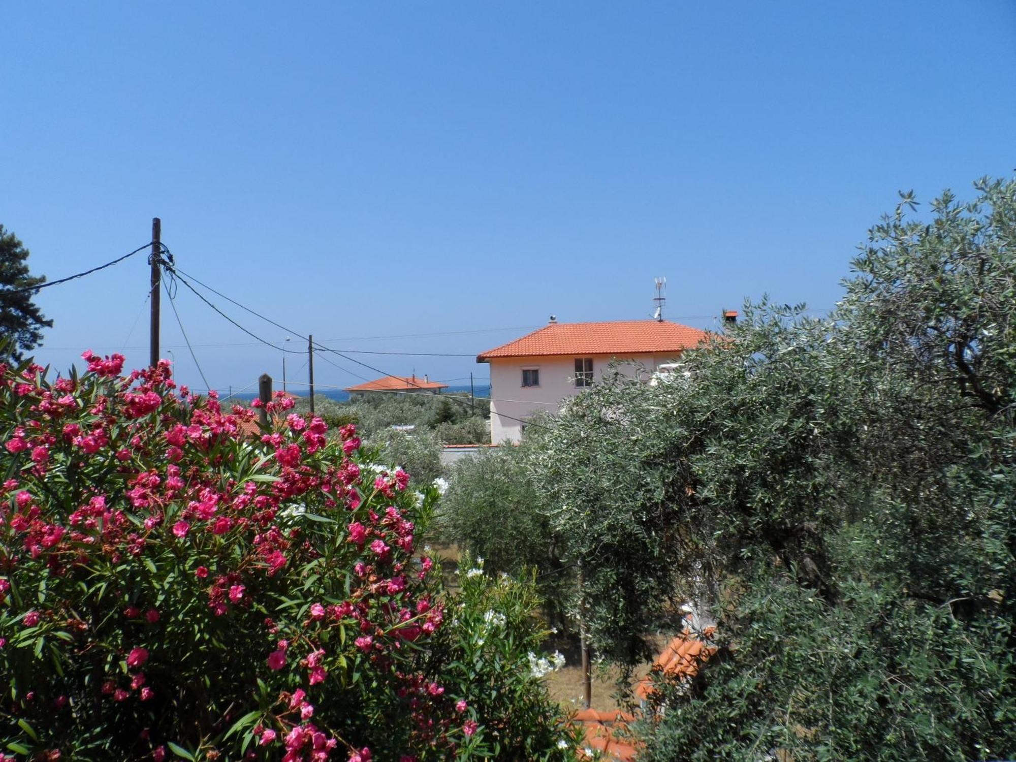 Aparthotel Amarilia Skala Rachoni  Esterno foto